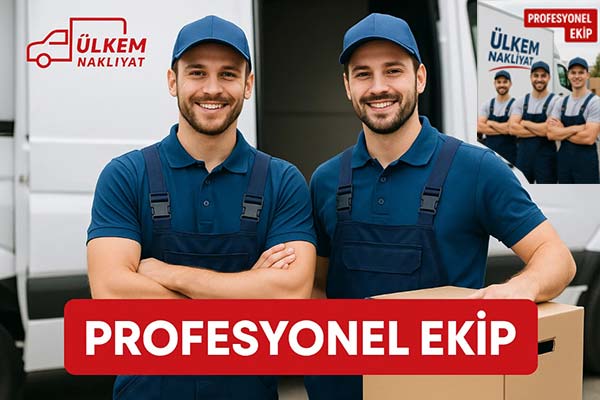 Profesyonel Ekip